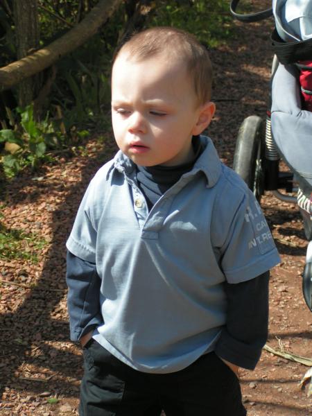 Paradisio avril 2008