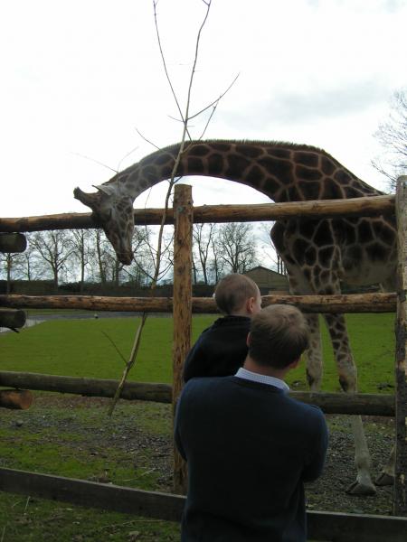 Paradisio avril 2008